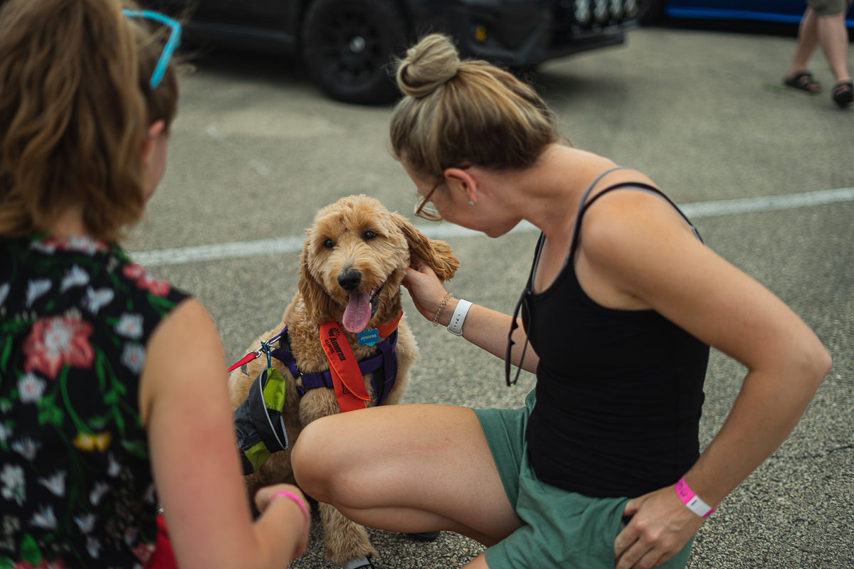 And more Subie pups