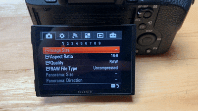 Sony's menu system is diabolically complicated