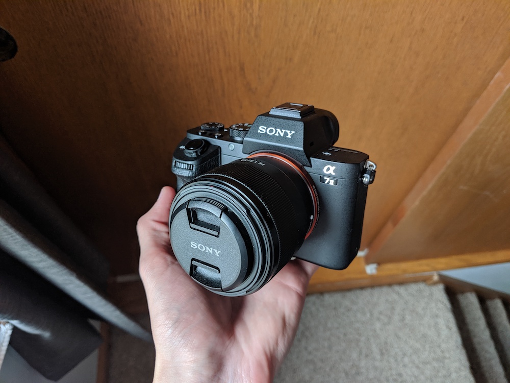I never really LOVED using the a7ii