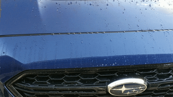 XPEL beading