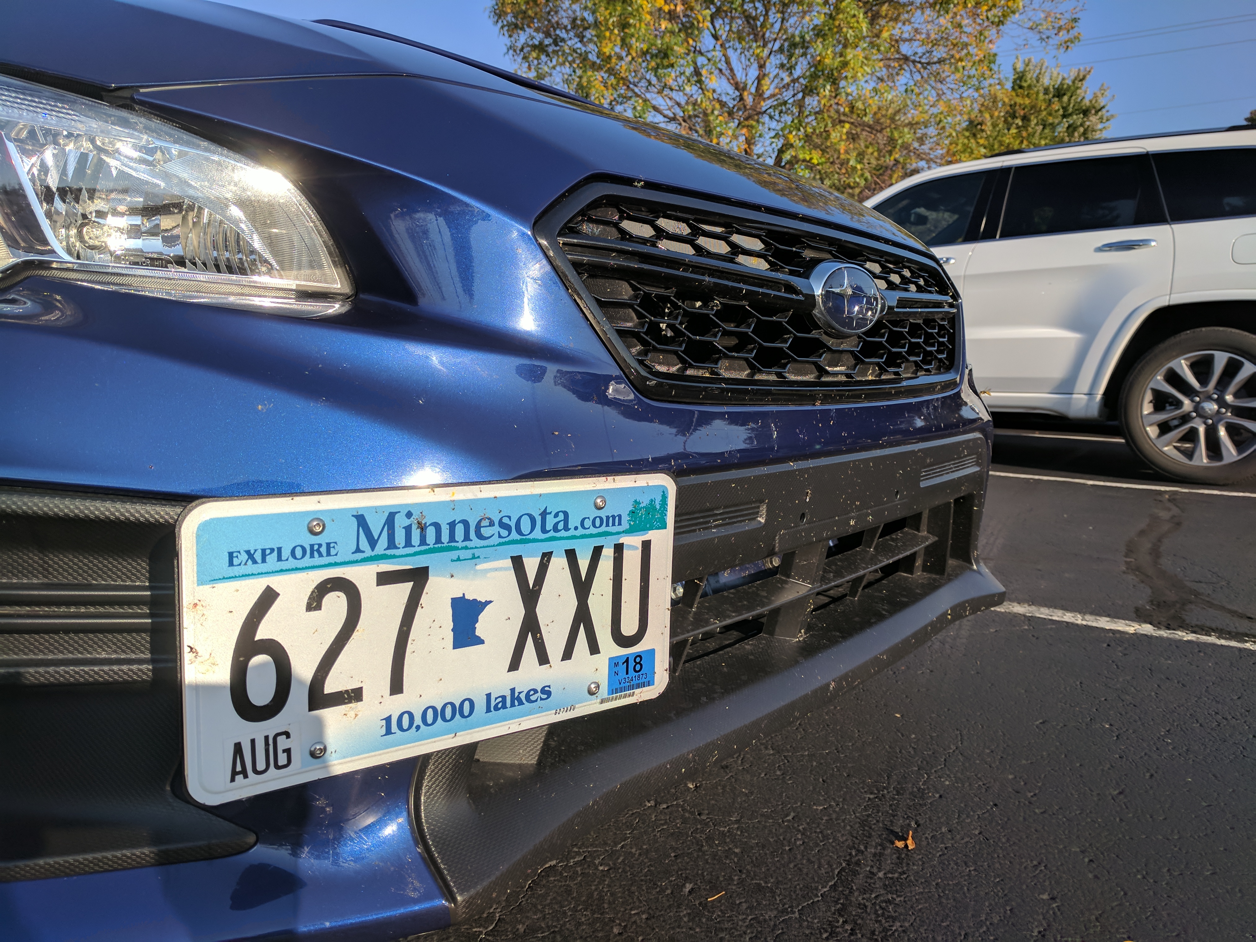 XPEL + bugs