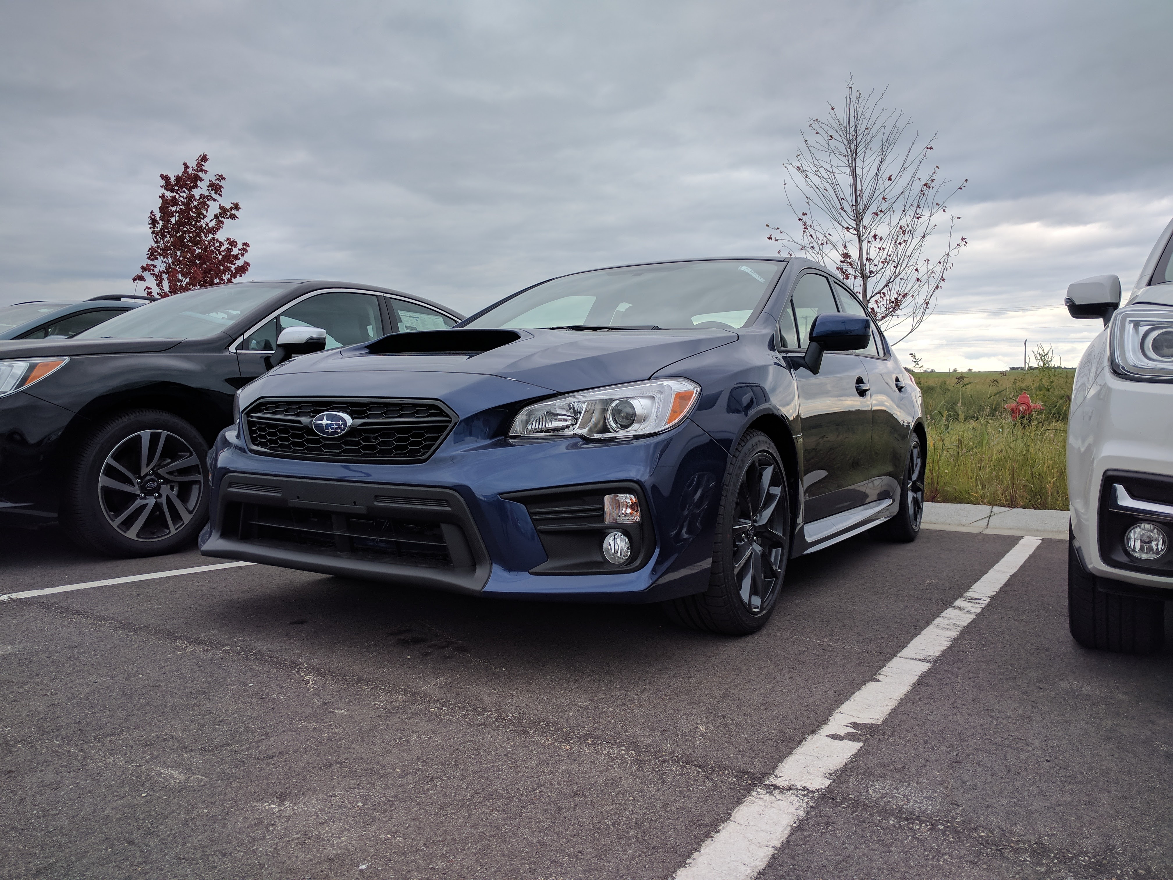 Love at first sight