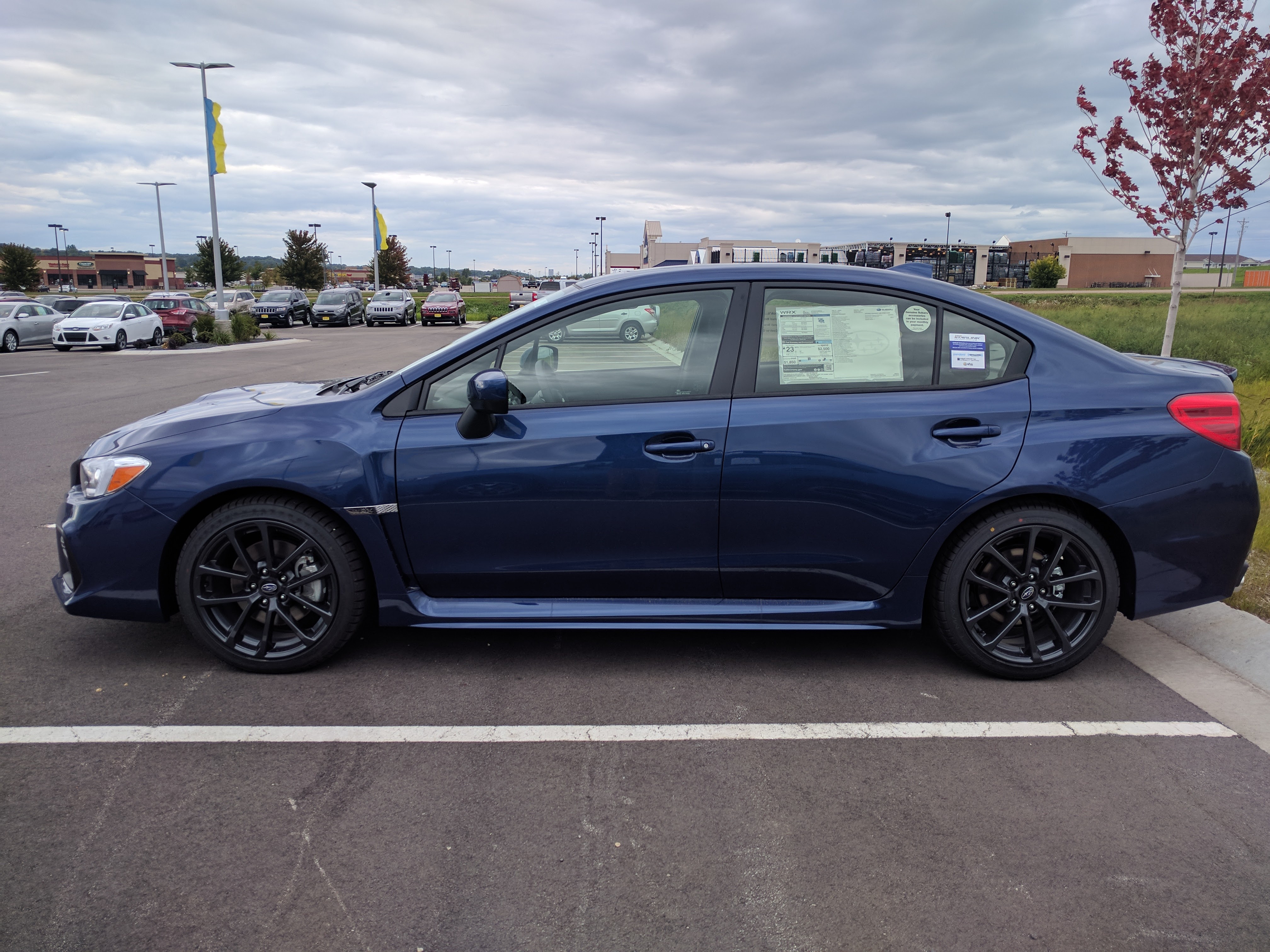 Lapis Blue Pearl FTW